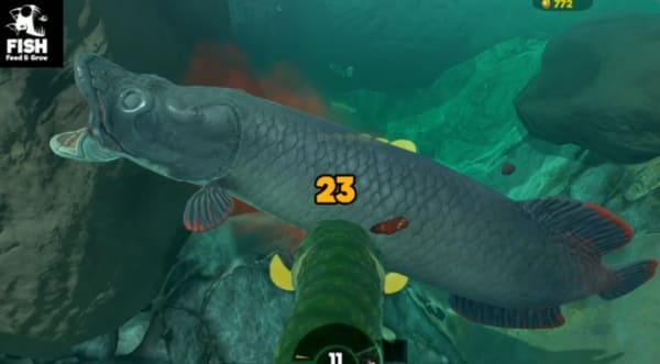 Sosomod Feed And Grow fish survivors & evolution mod apk